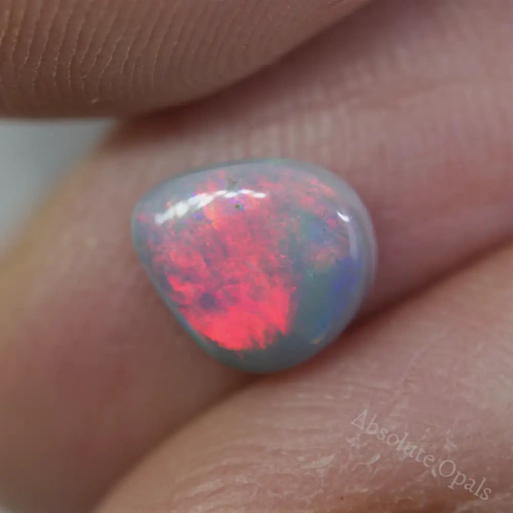 red opal 