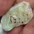 10.70 Cts Australian Single Rough Opal For Carving Lightning Ridge