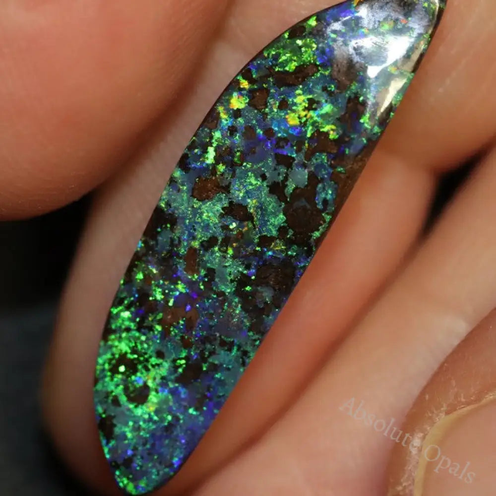 Australian Boulder Opal, Cut Loose Stone