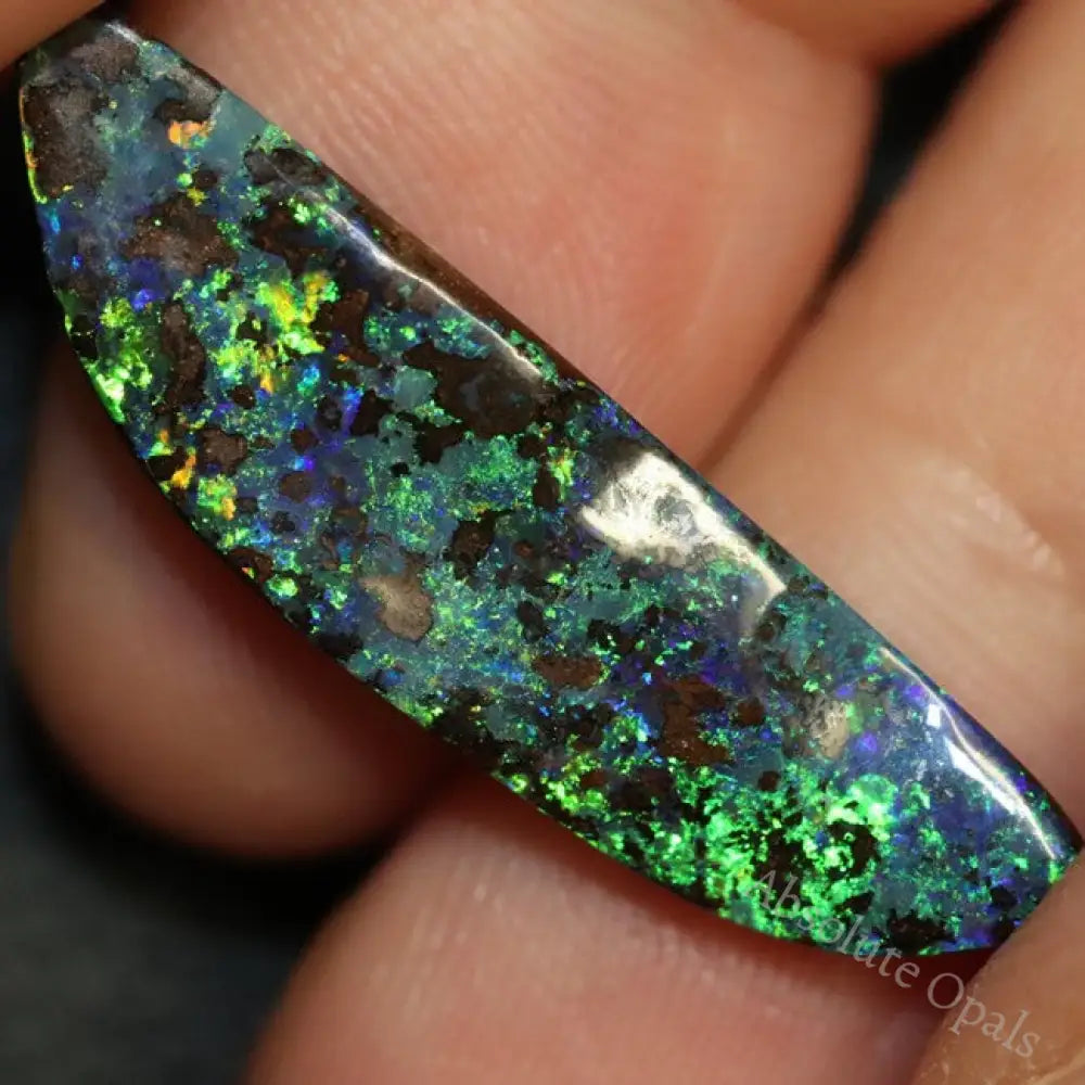 Australian Boulder Opal, Cut Loose Stone