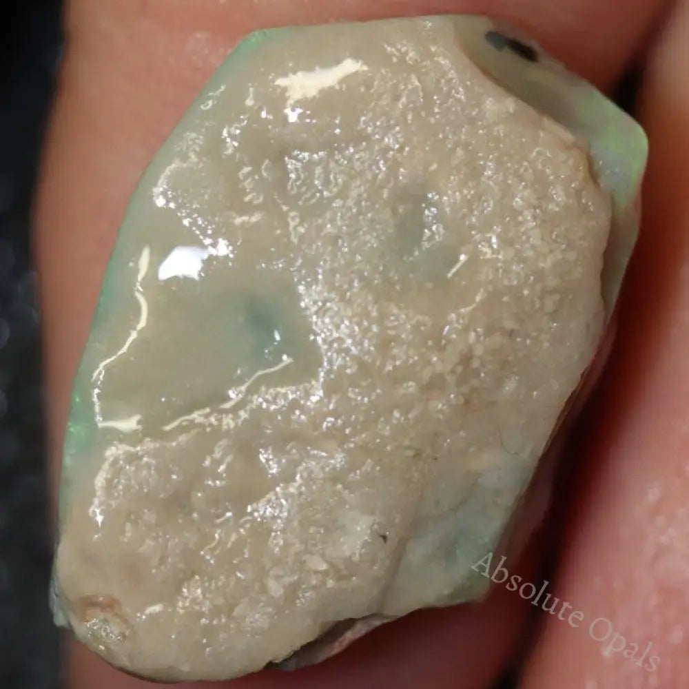 11.90 Cts Single Opal Rough For Carving 21.8X15.8X7.0Mm