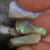 111.05 Cts Opal Rough Parcel 12.4-44.1X3.6-13.1X7.6-19.8Mm