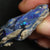 Australian Lightning Ridge, Black Opal Rough for Carving