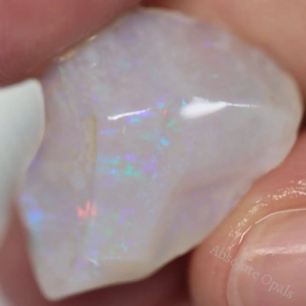 12.15 Cts Australian Single Rough Opal For Carving Lightning Ridge