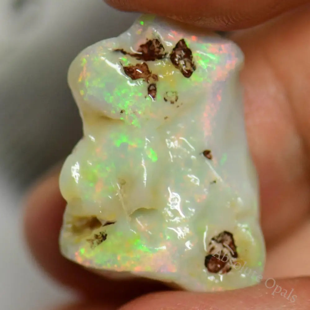 Single Opal Rough for Carving