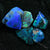 Australian Black Rough Opal Parcel Lightning Ridge