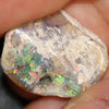 12.7 Cts Australian Opal Rough Lightning Ridge Wood Fossil Polished Specimen