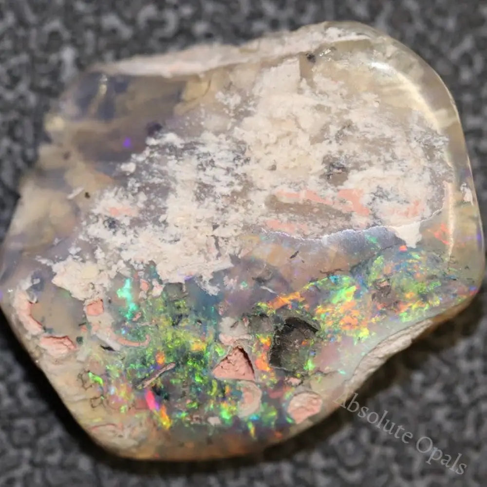 12.7 Cts Australian Opal Rough Lightning Ridge Wood Fossil Polished Specimen