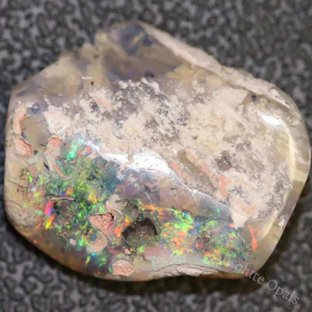 12.7 Cts Australian Opal Rough Lightning Ridge Wood Fossil Polished Specimen