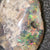 12.7 Cts Australian Opal Rough Lightning Ridge Wood Fossil Polished Specimen