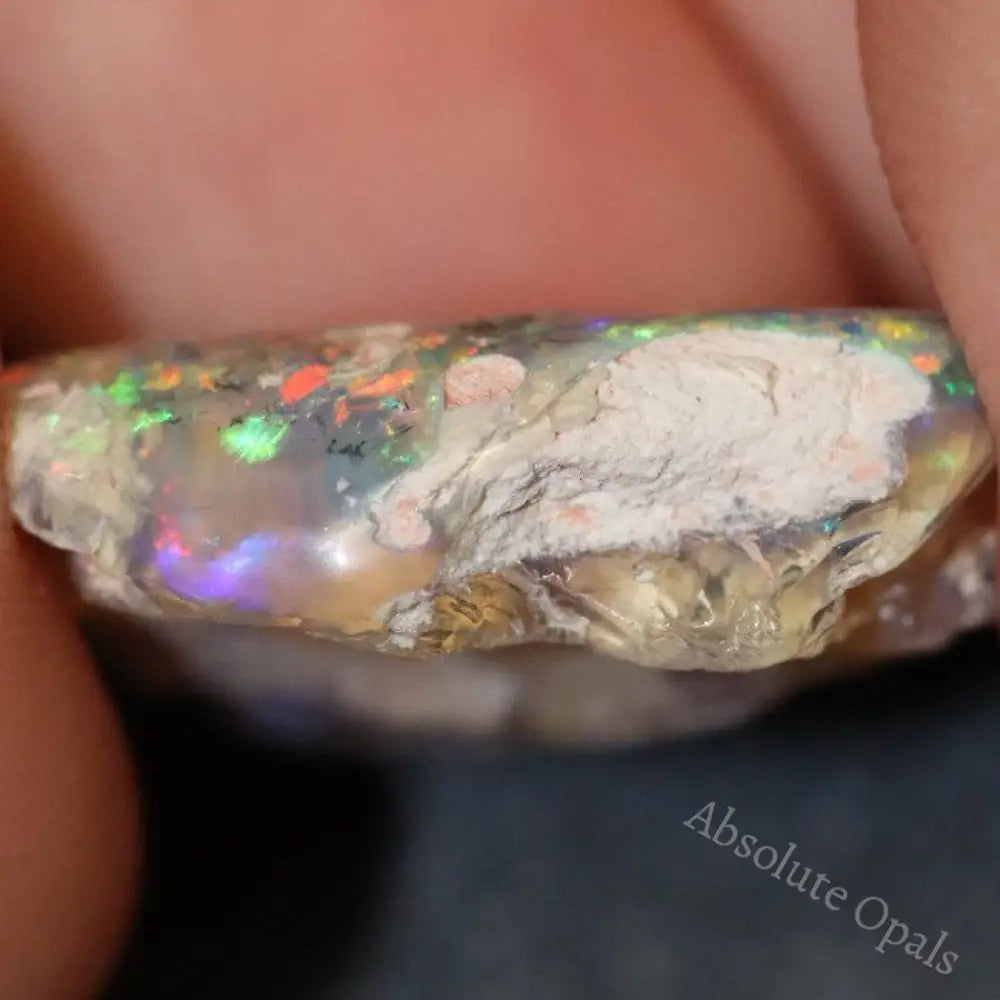 12.7 Cts Australian Opal Rough Lightning Ridge Wood Fossil Polished Specimen