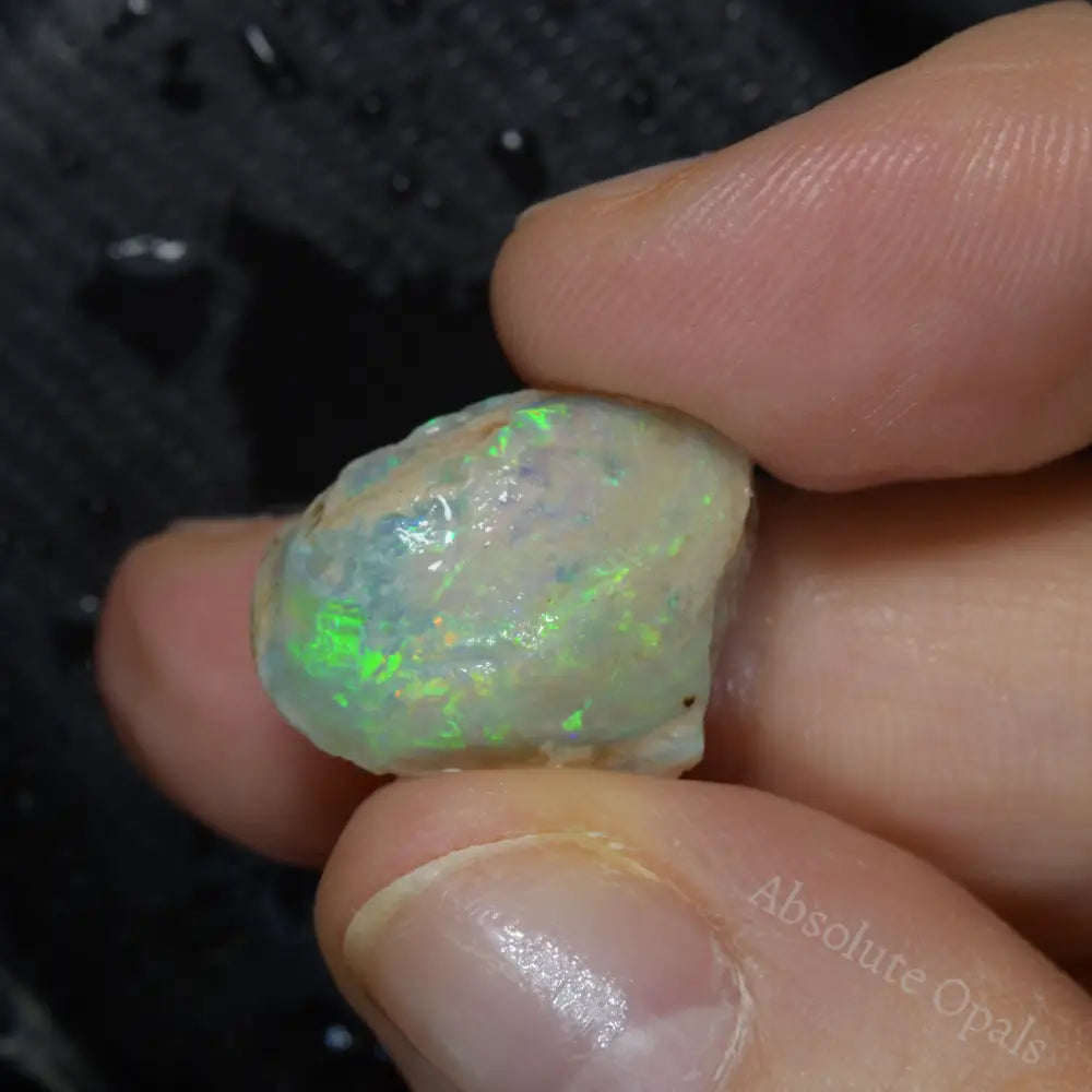 12.90 cts Australian Opal Rough Lightning Ridge Shell Fossil Gem