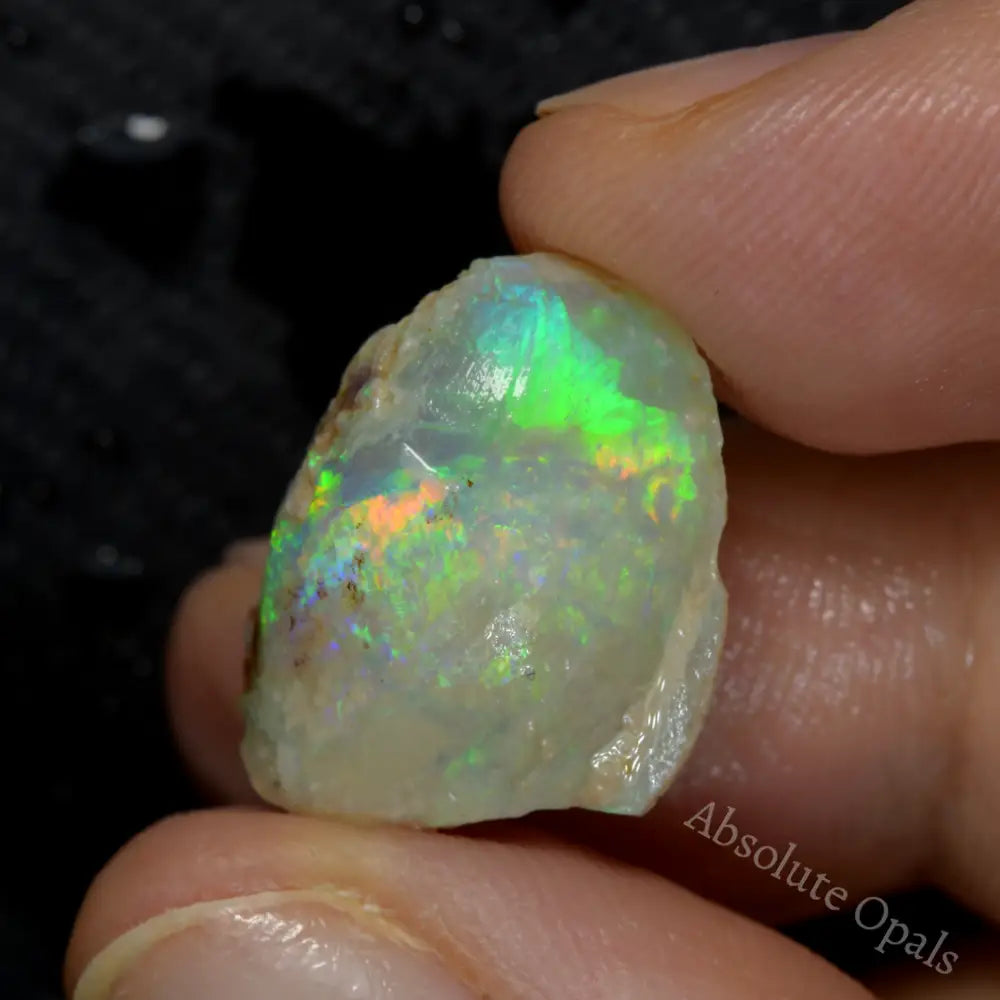 12.90 cts Australian Opal Rough Lightning Ridge Shell Fossil Gem