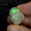 12.90 cts Australian Opal Rough Lightning Ridge Shell Fossil Gem