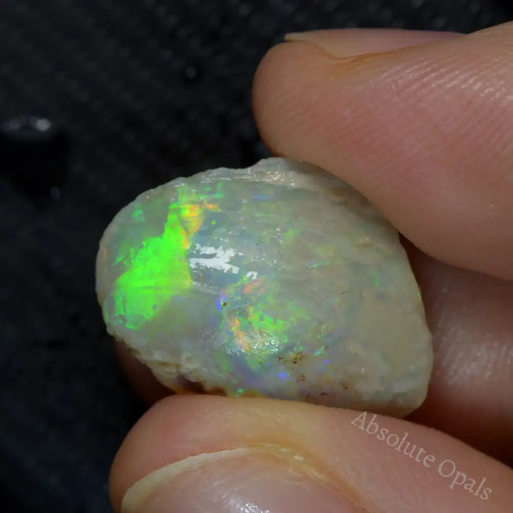 12.90 cts Australian Opal Rough Lightning Ridge Shell Fossil Gem