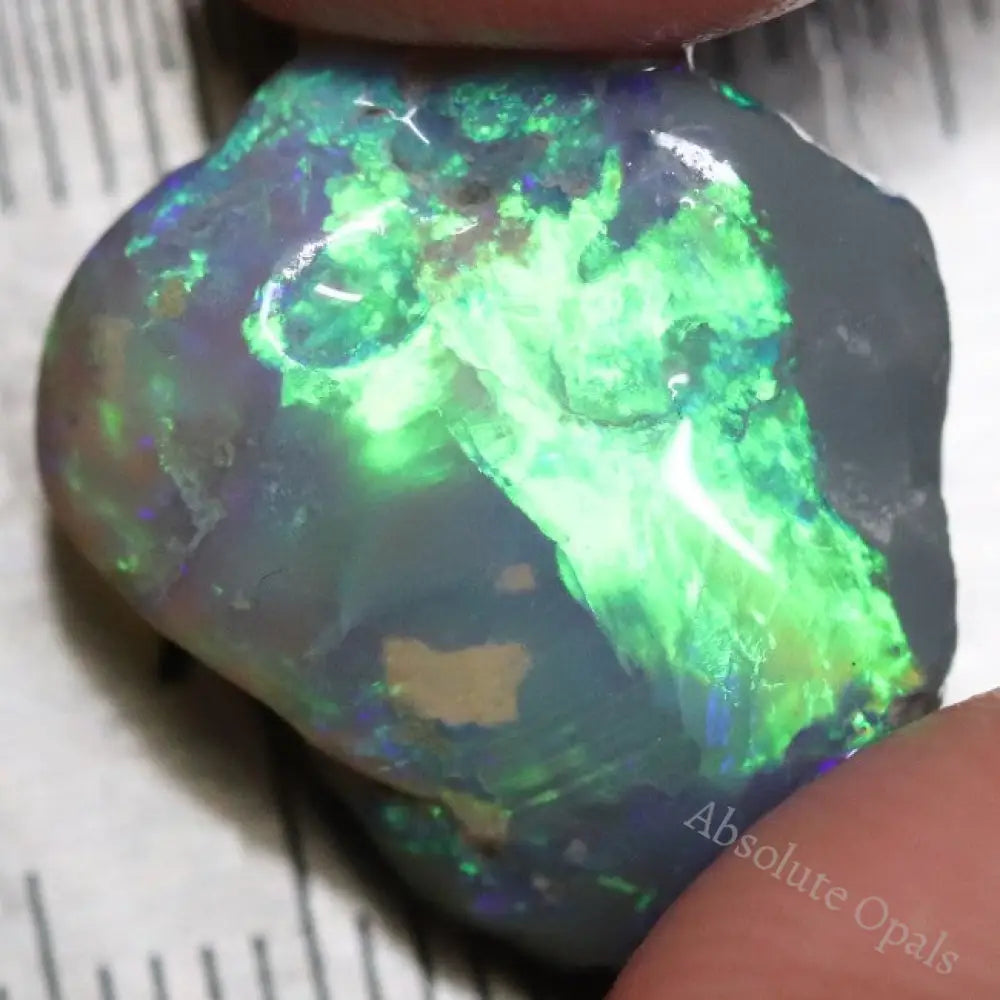 12.95 Cts Australian Semi-Black Opal Rough Lightning Ridge Gem