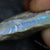 Single Opal Rough for Carving