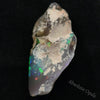 13.10 Cts Australian Opal Rough Lightning Ridge Fossil Polished Specimen