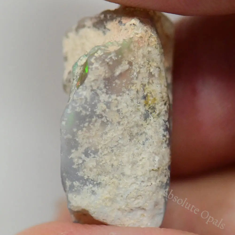 13.10 Cts Australian Opal Rough Lightning Ridge Fossil Polished Specimen