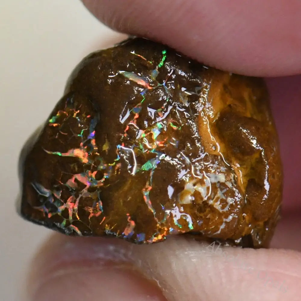 Australian Boulder Opal Rough Parcel