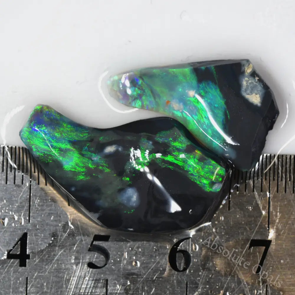 loose rough  black opal