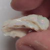 14.20 Cts Australian Lightning Ridge Opal Rough For Carving