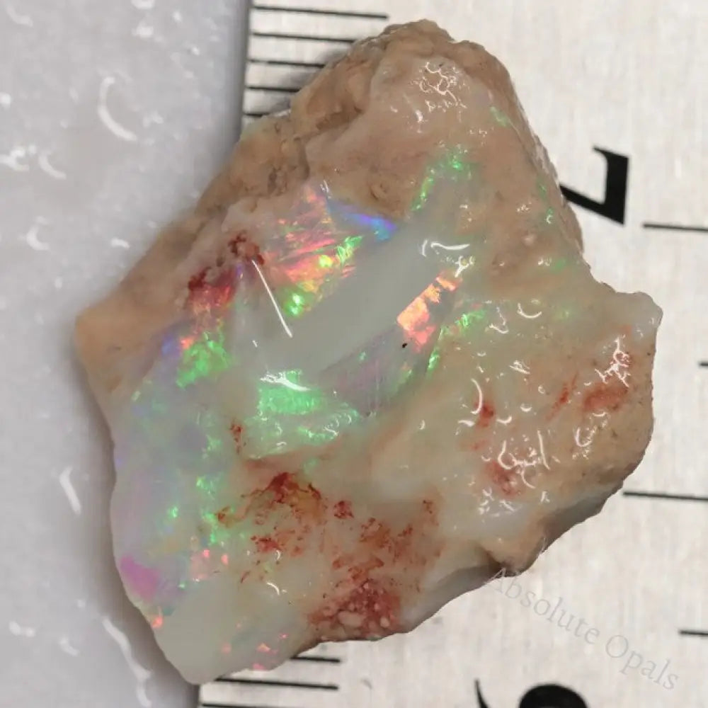 14.50 Cts Australian Lightning Ridge Opal Rough For Carving