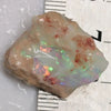14.50 Cts Australian Lightning Ridge Opal Rough For Carving