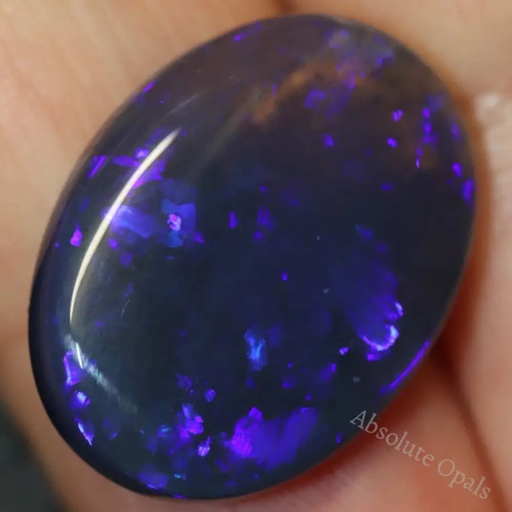 14.96 Cts Australian Black Opal Lightning Ridge Solid Gem Stone Cabochon