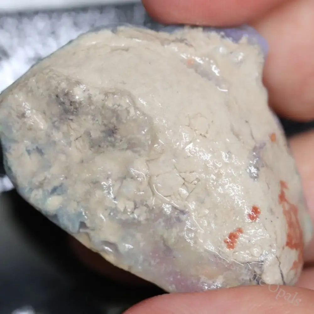 142.45 Cts Australian Lightning Ridge Opal Rough For Carving