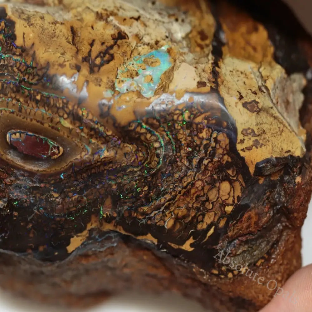 1450 Cts Australian Boulder Opal Rough Specimen