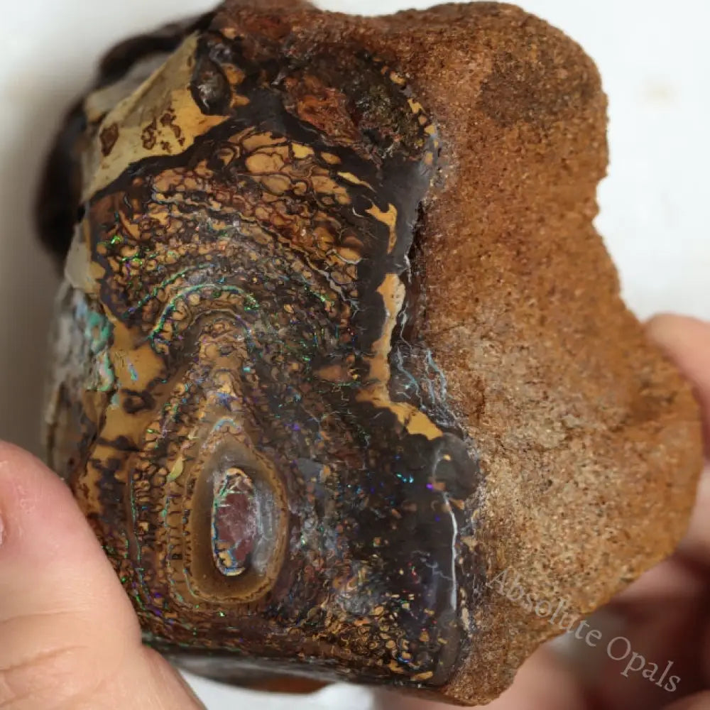 1450 Cts Australian Boulder Opal Rough Specimen