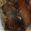 1450 Cts Australian Boulder Opal Rough Specimen