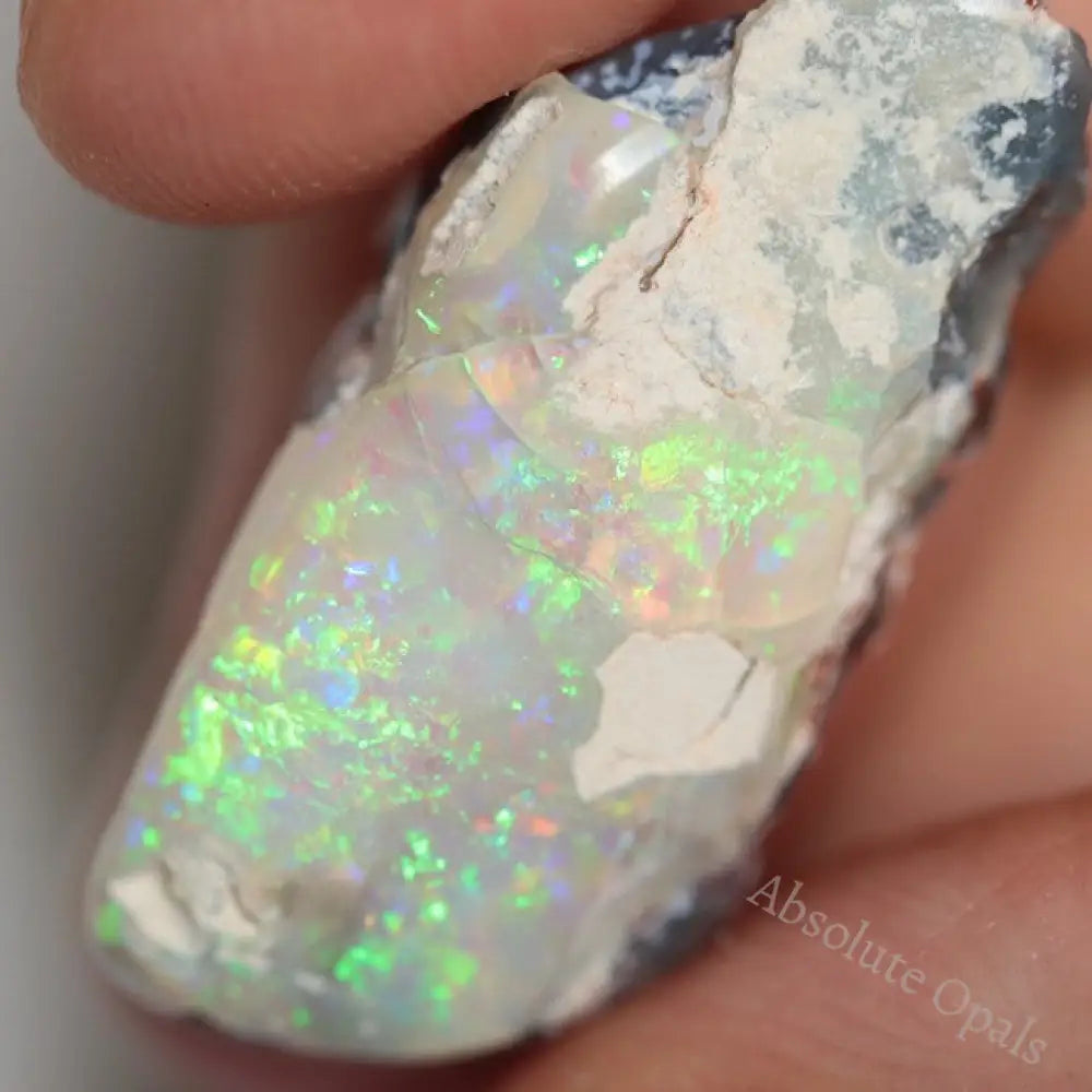 16.50 Cts Australian Opal Rough Lightning Ridge Polished Specimen