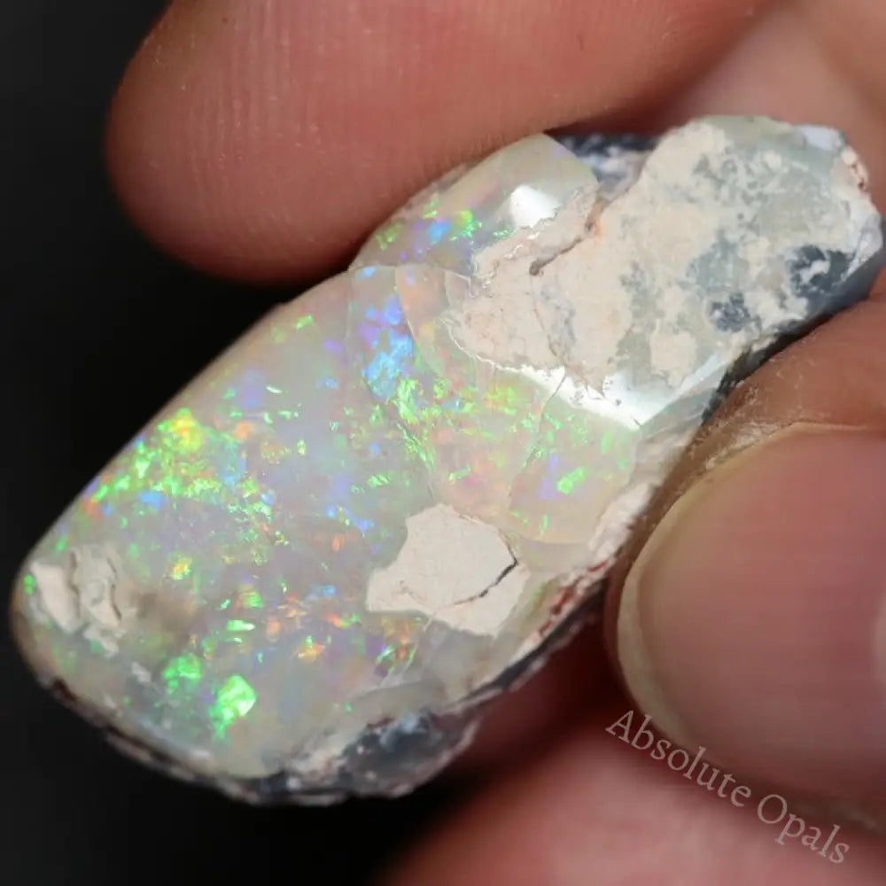 16.50 Cts Australian Opal Rough Lightning Ridge Polished Specimen