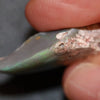 16.9 Cts Australian Opal Rough Lightning Ridge Polished Specimen Solid