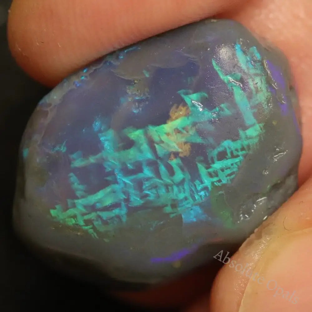 17.0 Cts Australian Black Opal Lightning Ridge Rough Nobby Script Pattern