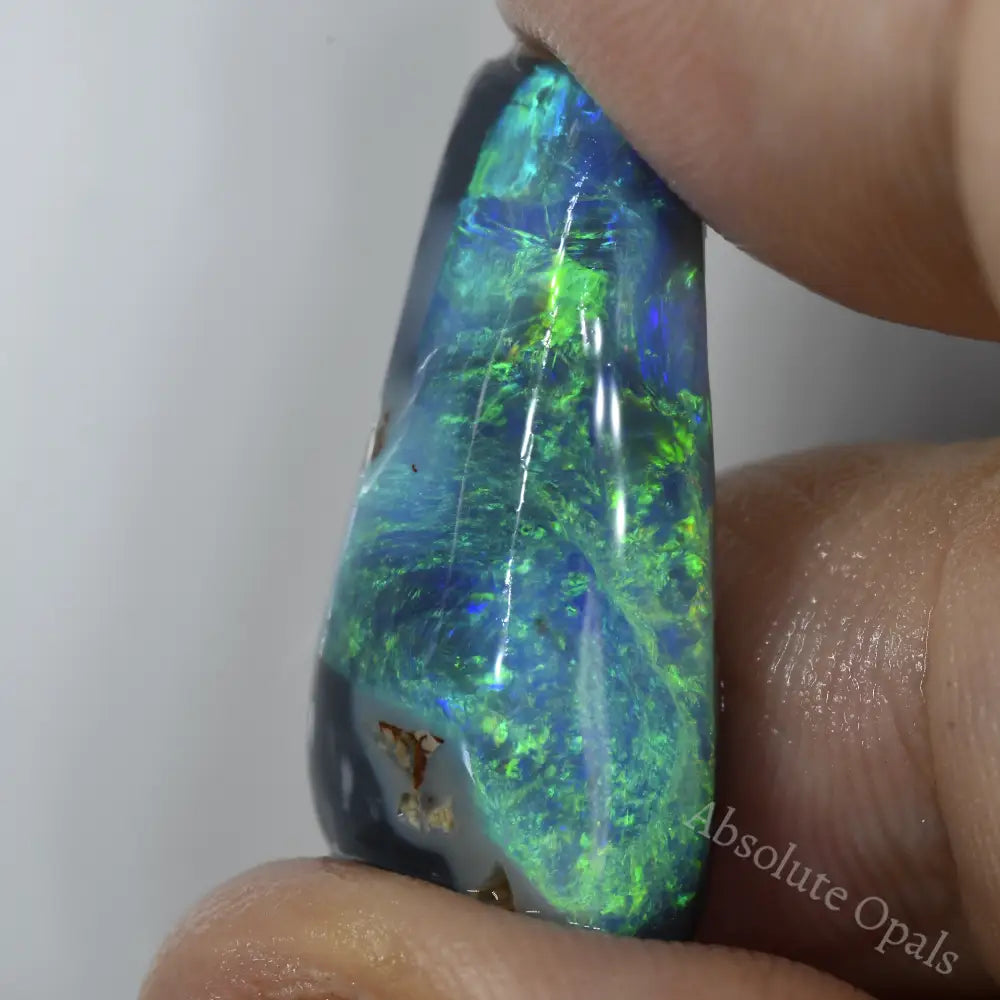 loose rough gem opal