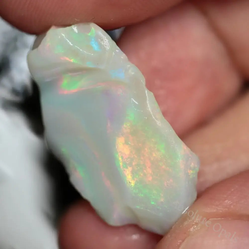 17.50 Cts Australian Lightning Ridge Opal Rough For Carving Single