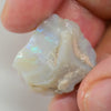 17.80 Cts Australian Rough Opal For Carving Lightning Ridge - Beginner