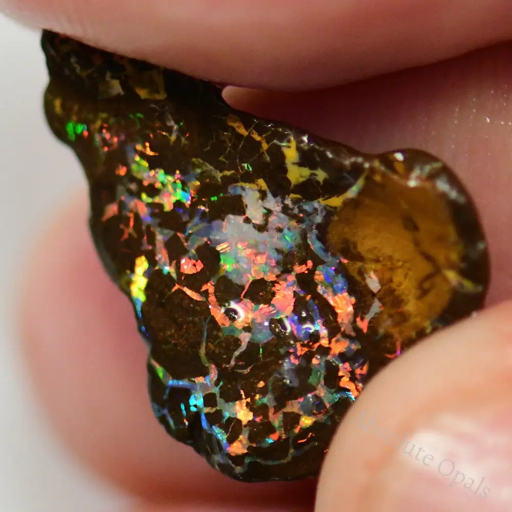 Boulder Opal 