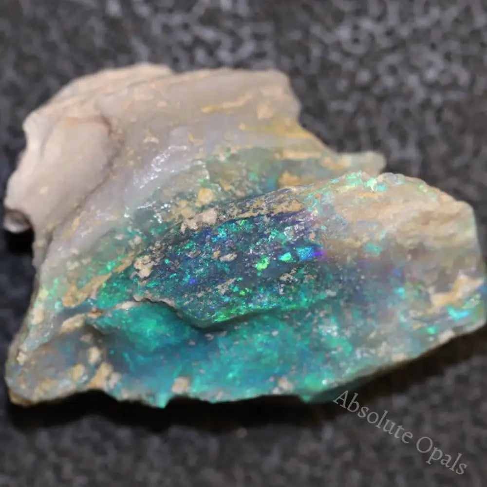 18.6 Cts Australian Opal Rough Lightning Ridge Wood Fossil Polished Specimen