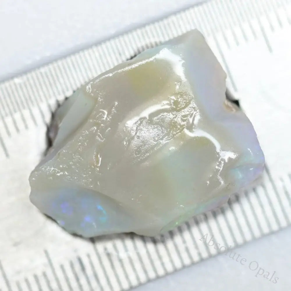 19.05 Cts Australian Lightning Ridge Opal Rough For Carving