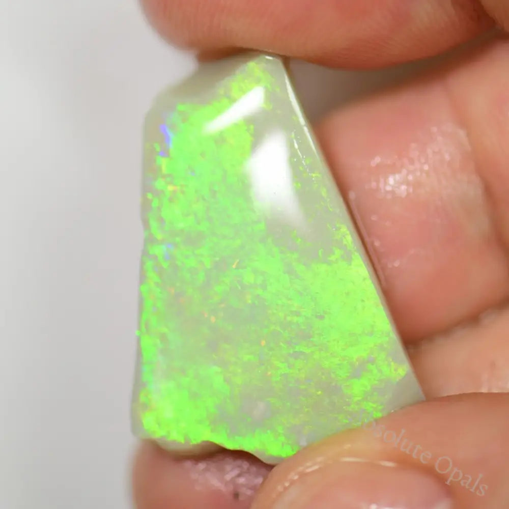 19.2 Cts Australian Rough Opal Rub Lightning Ridge