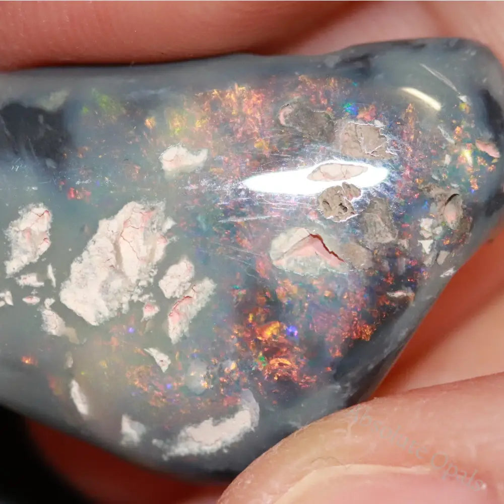 19.4 Cts Australian Opal Rough Lightning Ridge Polished Specimen Solid