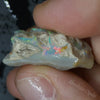 Rough opal single