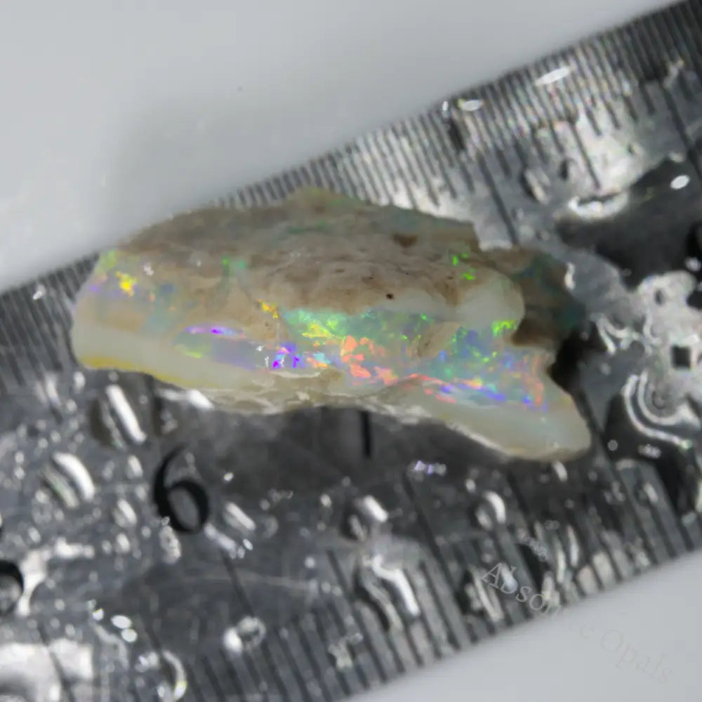 Australian Single Rough Opal for Carving, Lightning Ridge CMR