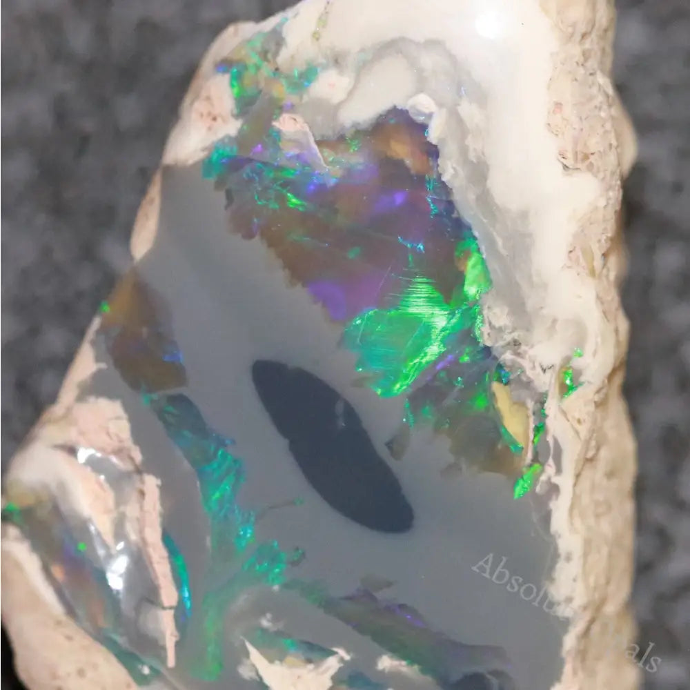 19.8 Cts Australian Opal Rough Lightning Ridge Polished Specimen Solid