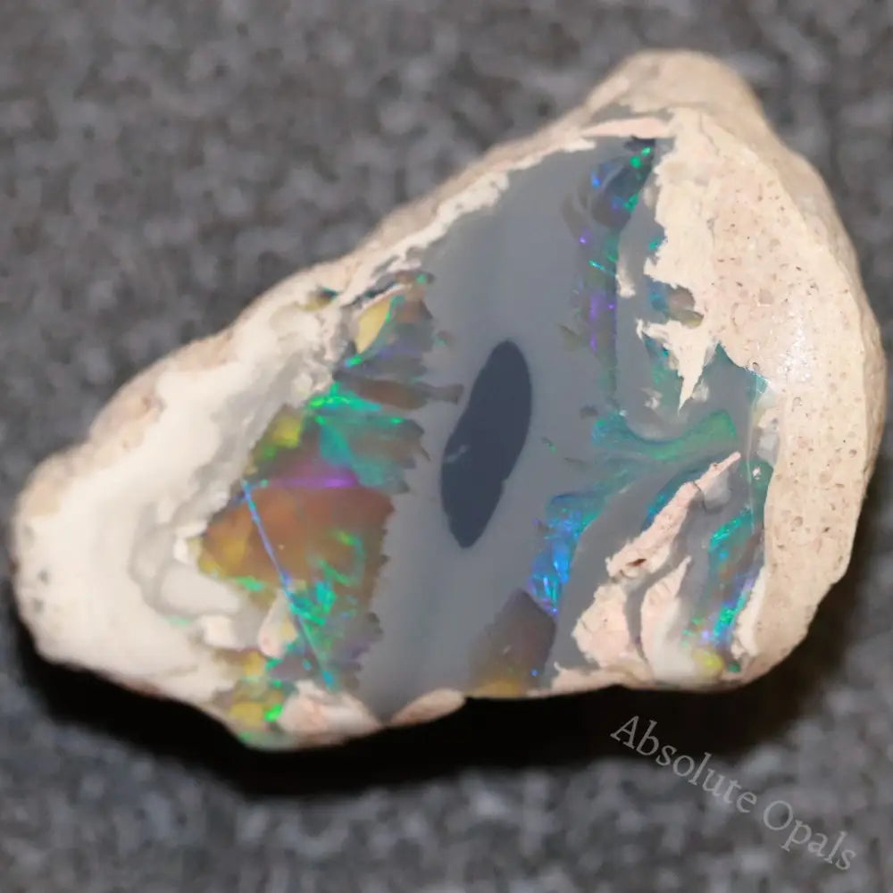 19.8 Cts Australian Opal Rough Lightning Ridge Polished Specimen Solid