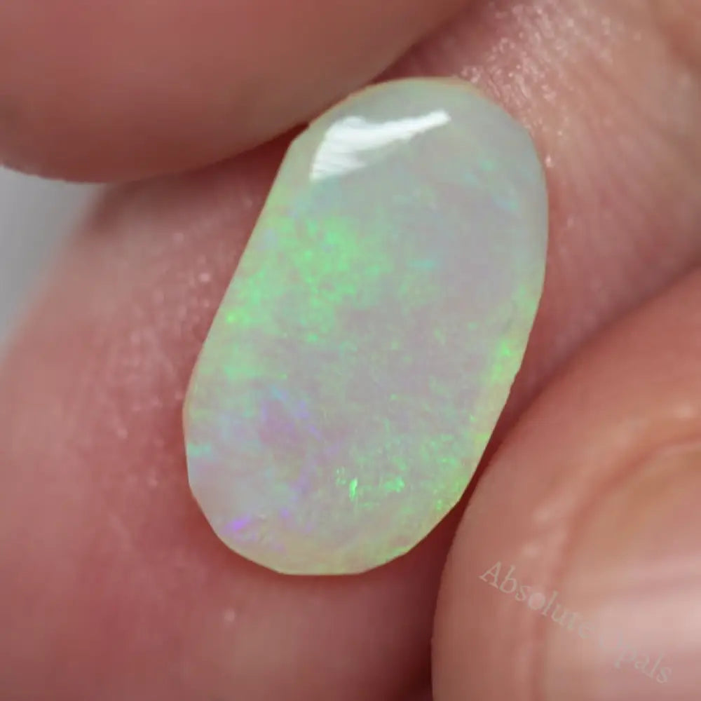 2.6 Cts Australian Rough Opal Rubs Lightning Ridge